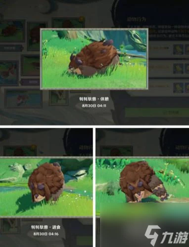 原神動物行為有什麼 原神動物行為拍照攻略