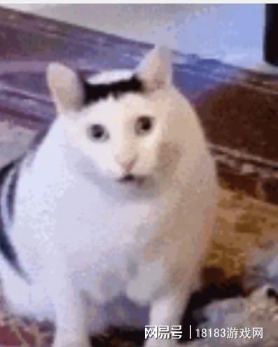 從發癲開始，逆水寒在玩梗的路上一去不復返