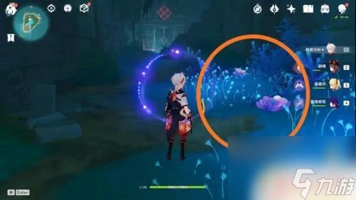 珊瑚真珠在哪裡圖 原神珊瑚珍珠在哪裡分布圖獲取方法