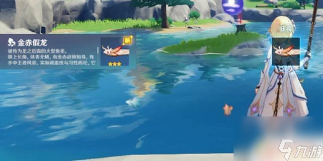 原神假龍魚出沒時間 原神假龍魚出現時間