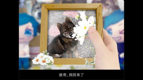 恐怖遊戲《翌日》與實況主合作 紀念逝去的愛犬