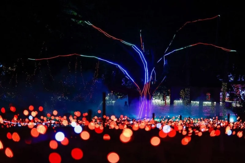 全馬最大LED燈光嘉年華　巴西古當風箏山成月光仙境