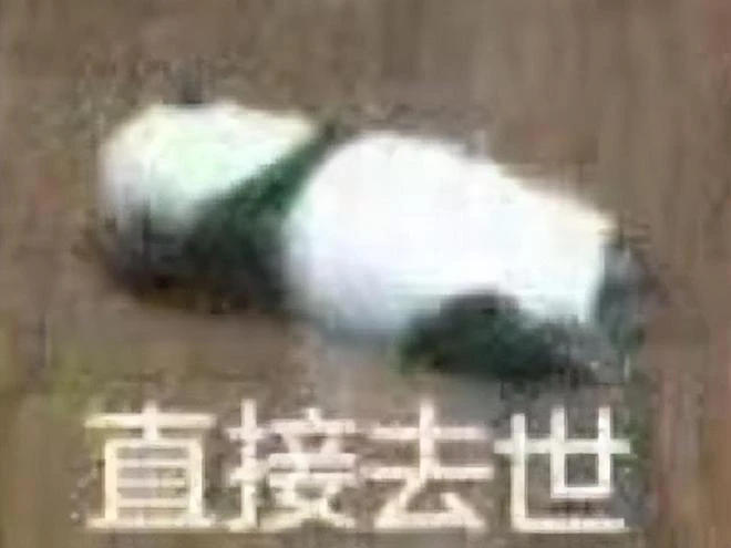 B站墓地添新墳，《斯露德》作死刪掉特色，網友：被大V給坑了