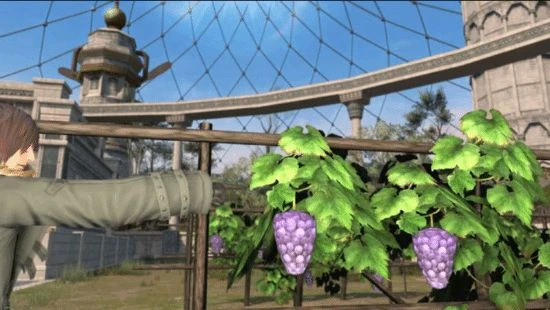 《FF14》新資料片上線後 低質建模葡萄依然屹立農田