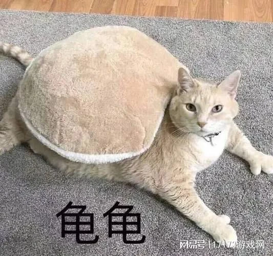 MMO打響大決戰！《DNF手游》霸榜一個月，競品卻慘遭停運