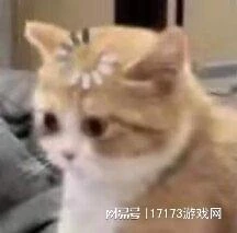 狠拒中國玩家後，才一年就日活暴跌財報巨虧，日本MMO夢又碎了？