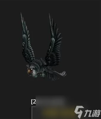 魔獸世界wlk貓頭鷹哪裡抓