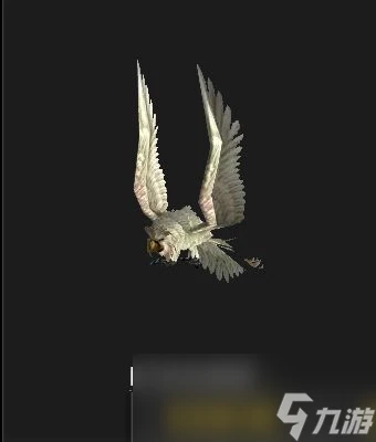 魔獸世界wlk貓頭鷹哪裡抓