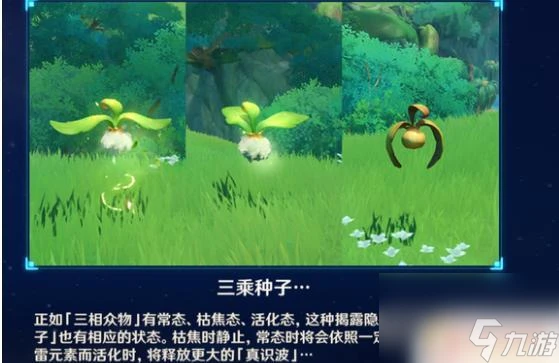 原神三乘種子枯焦後怎麼活化 原神三乘種子枯焦了怎麼處理