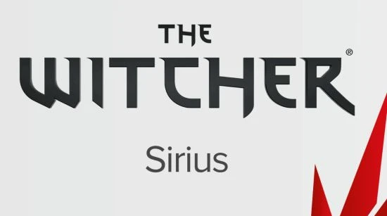 招聘信息暗示 《巫師》衍生作將是多人動作遊戲