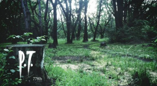 玩家熱議最惋惜哪款遊戲被取消：PT、星際爭霸幽靈等