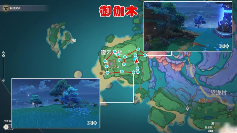 原神御伽木最佳採集區域 原神御伽木採集地點