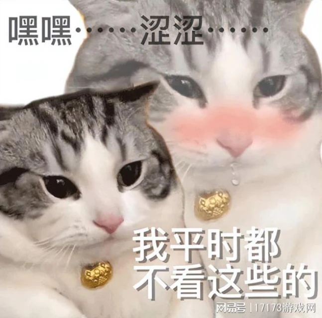 DNF廠商新作,一個女角色讓LSP狂喜,但是改不了又肝又氪的泡菜味