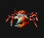 魔獸世界硬殼蟹在哪裡