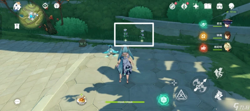 原神 帕蒂沙蘭·須彌特產收集