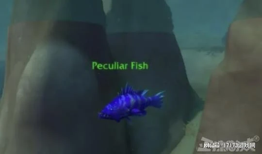 倒反天罡！魔獸上古之神手下請玩家出手，一同對抗無盡的聖光？