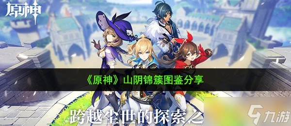 《原神》山陰錦簇圖鑑推薦