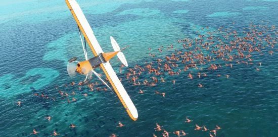 21款比《老頭環》地圖更大的遊戲：《MC》僅第二