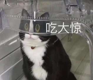 傳統策略不可變？這款新游開拓了啟元like新賽道