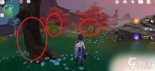 原神楓木具體在哪裡 《原神》楓木掉落在哪裡
