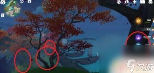 原神楓木具體在哪裡 《原神》楓木掉落在哪裡