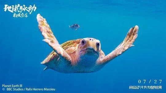 《黑色沙漠》端游本周開測！2024 ChinaJoy暴雪攜眾多作品回歸