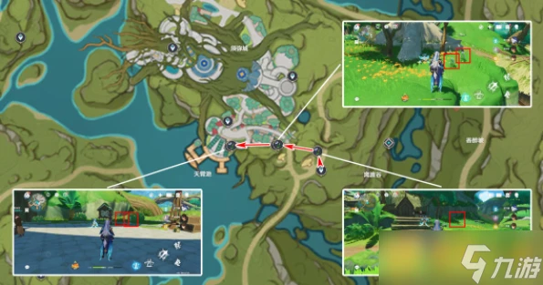 《原神》4.8帕蒂莎蘭在哪裡 最佳採集路線推薦