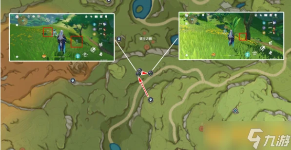 《原神》4.8帕蒂莎蘭在哪裡 最佳採集路線推薦