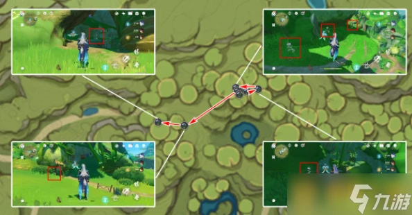 《原神》4.8帕蒂莎蘭在哪裡 最佳採集路線推薦