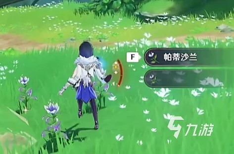 原神帕蒂莎蘭採集位置在哪 原神帕蒂莎蘭獲取位置介紹