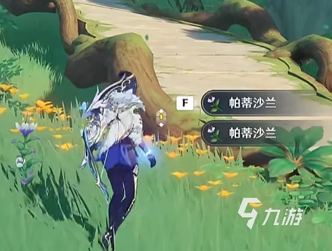 原神帕蒂莎蘭採集位置在哪 原神帕蒂莎蘭獲取位置介紹