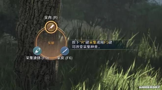 《黑色沙漠》遊民試玩：師姐，能和我一起砍大樹嗎？