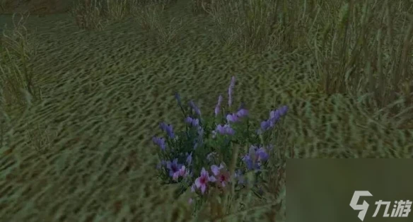 《魔獸世界》wlk草藥1-450快速沖級攻略