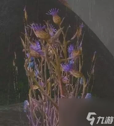 《魔獸世界》wlk草藥1-450快速沖級攻略