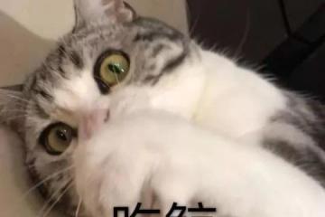 韓國遊戲贏麻了！9年前的老遊戲，新作正式上線4天狂卷50億韓元！