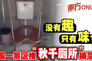 沒有趣只有味？中國一景區推「鞦韆廁所」被罵翻