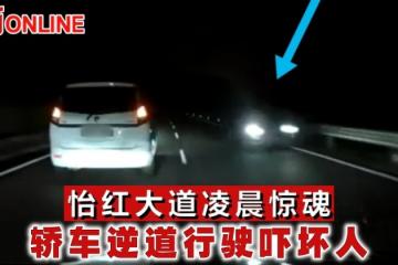怡紅大道凌晨驚魂　轎車逆道行駛嚇壞人
