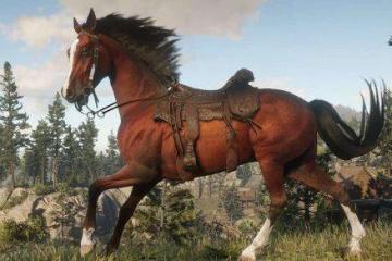 《GTA6》中玩家可以騎馬？泄露內容包含相關代碼