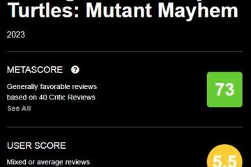 《忍者神龜》動畫電影M站73分：新老觀眾都能看個樂