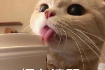 請回退休多年的中國第一程式設計師，西山居這回要干票大的！