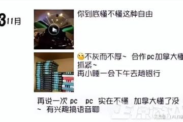 防不勝防割粉絲韭菜！DNF反詐第一人被捕入獄，兩年詐騙400萬元