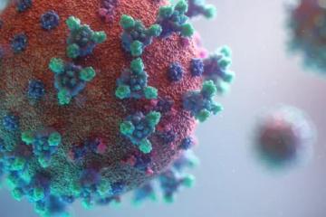 【新冠肺炎】目前尚未發現新變種病毒　衛長：大馬疫情仍受控