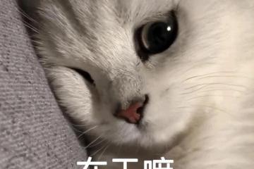 深夜聊天室：聊一聊網飛版的《3體》