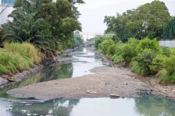 建議年撥款100億保障水供　SPAN提醒河流水量逐年下降