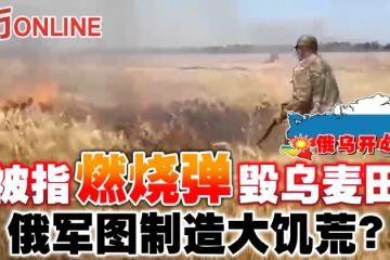 【俄烏開戰】被指燃燒彈毀烏麥田　俄軍圖製造大饑荒？