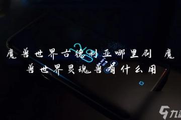 魔獸世界古德利亞哪裡刷 魔獸世界靈魂獸有什麼用