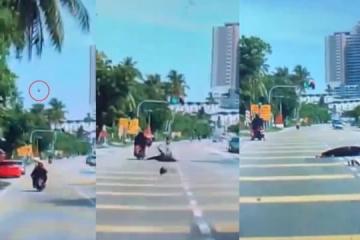 椰從天降！摩托車騎士慘遭椰子砸中 摔倒路中央