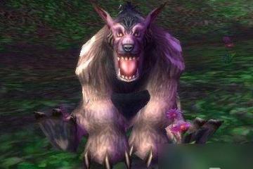 魔獸世界多蘭納爾德魯伊訓練師在哪裡 德魯伊必做職業任務詳解