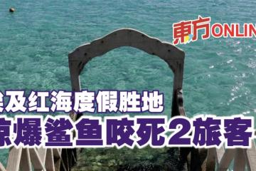 埃及紅海度假勝地　驚爆鯊魚咬死2旅客