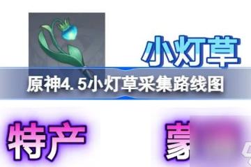 原神4.5小燈草採集路線圖介紹 原神4.5小燈草怎麼快速獲取